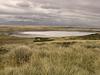 Falklandski otoki