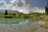 Zelenci