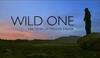 Wild One, Divji