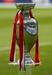 Pokal za naslov evropskih prvakov v nogometu