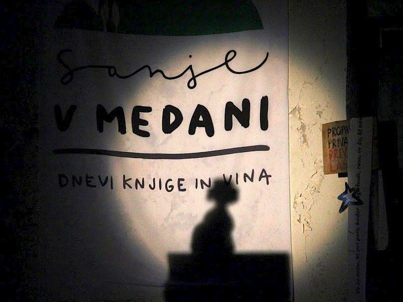 Festival Sanje bo verjetno potekal še konec avgusta na Krasu, in sicer v Sežani in na Kosovelovi domačiji v Tomaju, vendar podrobnosti za zdaj še niso znane. Festival Sanje poleg organizatorjev in nastopajočih podpirajo tudi Javna agencija za knjigo RS, Mesto Ljubljana in Ministrstvo za kulturo RS. Foto: Festival Sanje