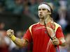 David Ferrer