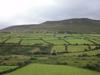 Belo pikasti zeleni pravokotniki (Dingle)