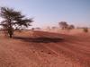 Cesta v Timbuktu.