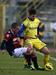 Bojan Jokić (Chievo) na sobotni tekmi z Bologno