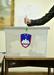 DZ je omejitve na področju referendumov sprejel nekaj mesecev po zahtevah civilne družbe po večji politični participaciji. Foto: BoBo