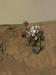 Radovednost, Curiosity