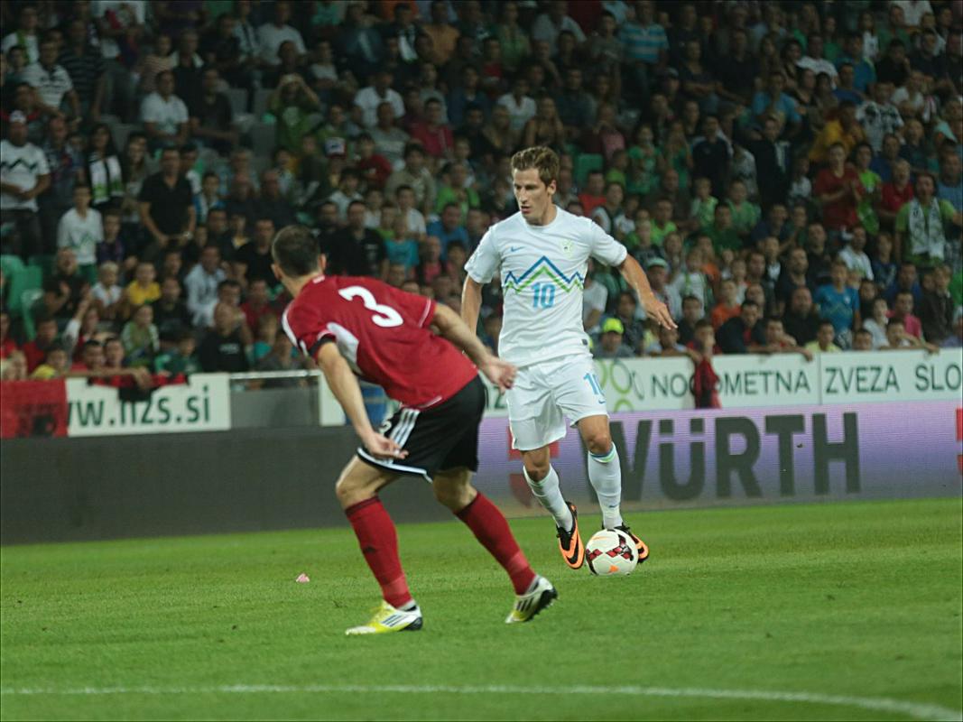 Valter Birsa