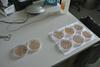Biotehniška fakulteta, laboratorij