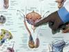 Prostata, rok na prostati