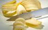 Slovenia’s eastern Prekmurje has long been known as the country’s agricultural heartland. But in recent years, some Slovenian stores have begun to offer an unusual Prekmurje-grown product: bananas. Foto: BoBo