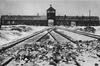 Auschwitz