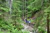 Pot Alpe Adria Trail na skupno 43 etapah povezuje avstrijsko Koroško, Slovenijo in Furlanijo - Julijsko krajino ter pelje od vznožja najvišjega vrha Avstrije, Velikega Kleka, do jadranske obale v Trst. Foto: alpe-adria-trail.com
