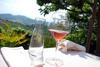 Klinci so močno prisotni na specializiranih sejmih, posvečenih naravnim vinom. Največji tovrstni sejmi so v Italiji (Vini Veri v Cerei, Vini Naturali v Vicenzi ...).
