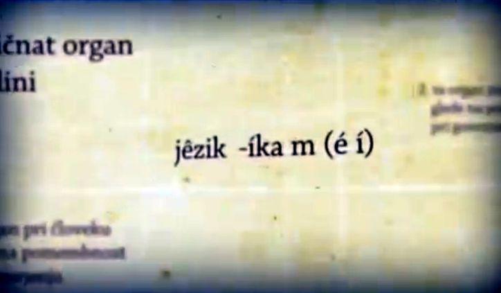 Jezik, slovar, slovenščina