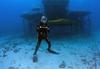 Fabien Cousteau