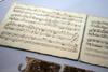 Mozart, človek z izrazitim glasbenim talentom, pa ni imel daru za finančne zadeve, zato se je kljub dobri plači večkrat znašel v denarnih teževah in si je moral denar tudi izposojati. Foto: EPA
