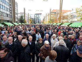 St Martin's Day celebrations kicked off across the country today