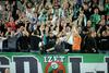 Green Dragons