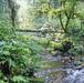 Bwindi