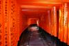 Fushimi Inari taisha