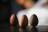 Masažno leseno jajce Zen Egg je na Kickstarterju podprlo 2.966 podpornikov s kar 111.144 ameriškimi dolarji. Foto: Zen Egg