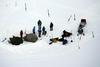 Svalbard so te dni preplavili turisti, ki si želijo opazovati ta redek naravi pojav. A tamkajšnje živali nad množico niso preveč navdušene. Foto: EPA
