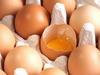 V primerjavi z drugimi jajci vsebujejo jajca izpod Kamniških planin vsaj dvakrat več maščobne kisline omega 3 zaradi lanenega semena, s katerim se hranijo nesnice. Foto: BoBo