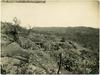 Avstro-ogrski obrambni položaji na Vrtojbensko-Biljenskih gričih poleti 1917