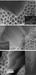 Nanotube