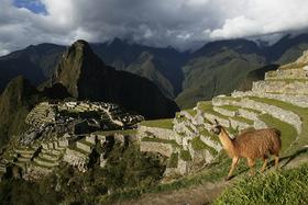 Machu Picchu