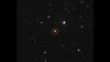 AC +79 3888, Gliese 445