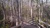 Florida