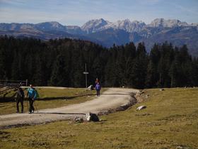 Gremo v planine?