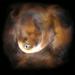 Tako si črno luknjo, ki okoli sebe poganja oblak prahu in plinov, predstavlja umetnik na japonski univerzi v Keiu. Foto: Tomoharu Oka (Keio University)