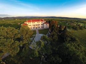 Občine Ajdovščina, Nova Gorica in Brda s skupno medobčinsko upravo