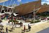 Expo, paviljon