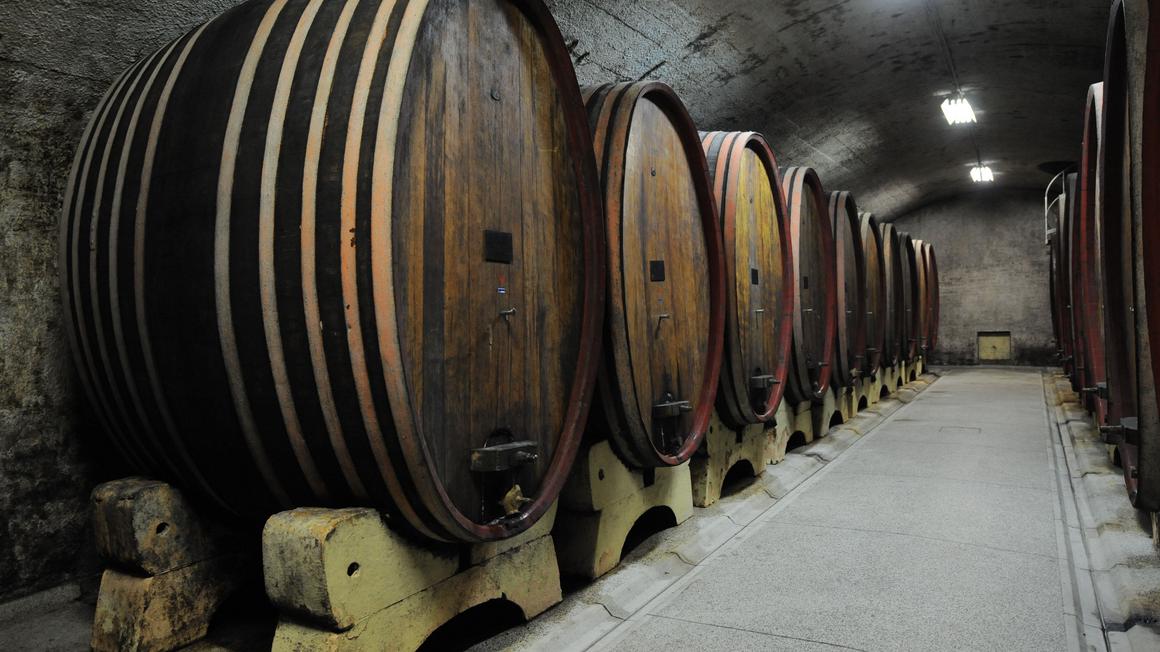 Zaradi lanske dobre letine in predvsem zaradi upada prodaje, je v slovenskih in tudi primorskih kleteh prišlo do občutnih viškov vina. Foto: BoBo