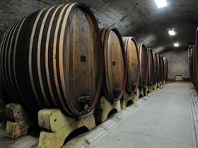 Slovenski vinarji nad viške vina s krizno destilacijo