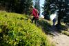 Rogla