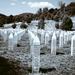 Srebrenica
