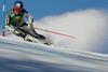 Mathieu Faivre se je šele tretjič povzpel na zmagovalni oder, prvič na najvišjo stopničko. Foto: Reuters