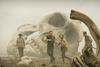 Kong. Skull Island
