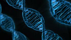 Medicina prihodnosti: Krasni novi svet genetike