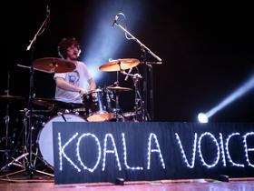 Koala Voice, novi pionirji slovenskega rocka?
