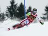 Marcel Hirscher