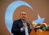Mevlüt Cavusoglu