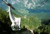 Bohinj, Vogel