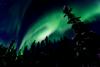 Aurora borealis