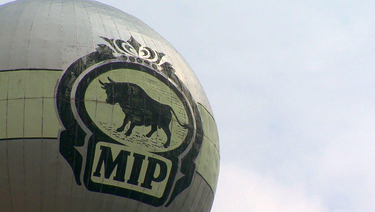 Mojca Dumančič|Mip